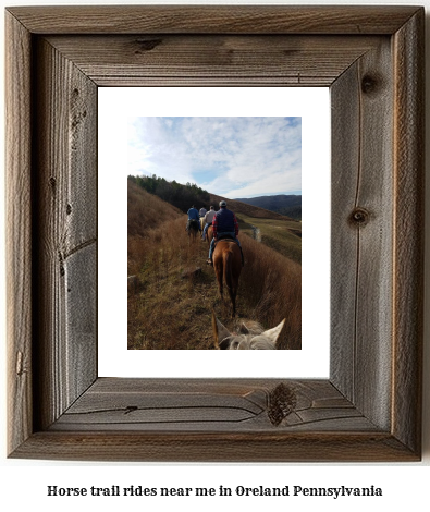 horse trail rides near me in Oreland, Pennsylvania